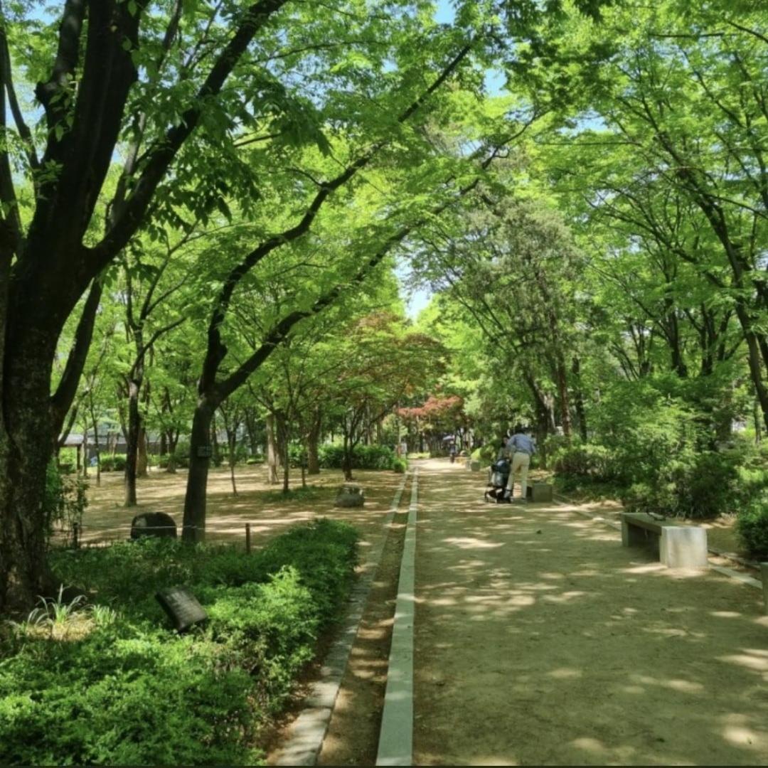 Sunny Gangnam House * Seoul